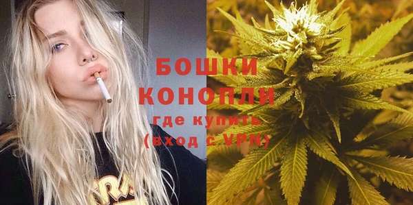 сатива Абинск
