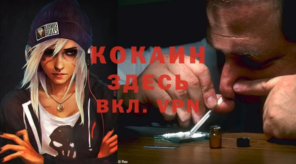 сатива Абинск