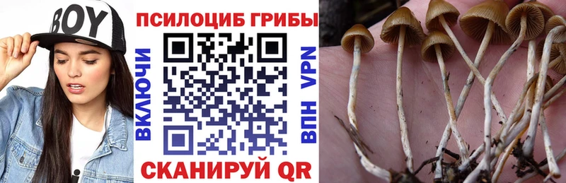 что такое наркотик Азов Псилоцибиновые грибы MAGIC MUSHROOMS